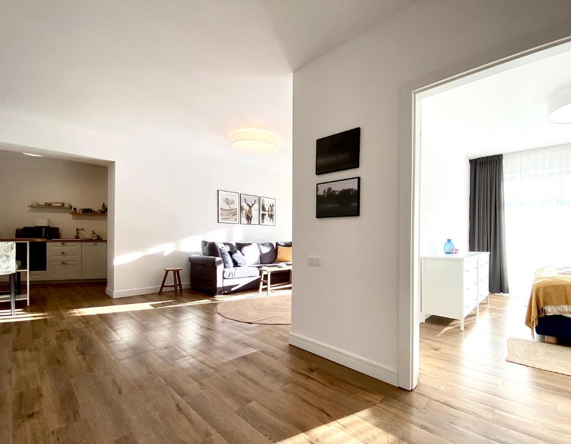 Cosy Hollow - Pet Friendly Brașov Exterior foto