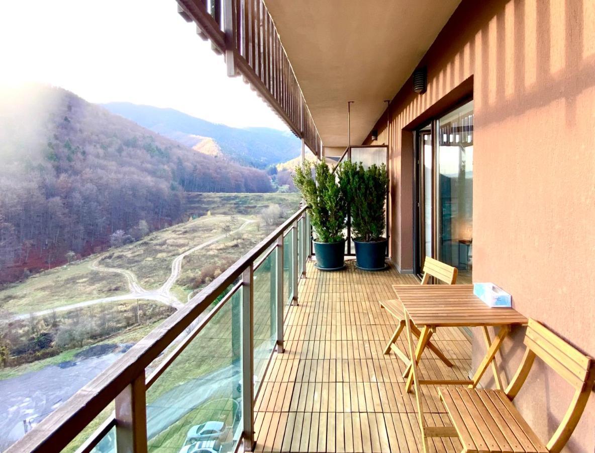 Cosy Hollow - Pet Friendly Brașov Exterior foto