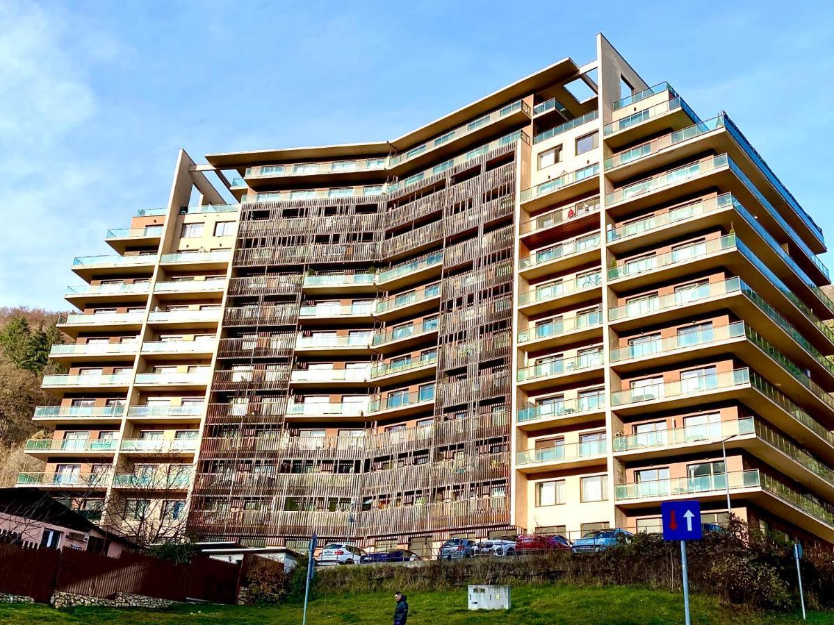 Cosy Hollow - Pet Friendly Brașov Exterior foto