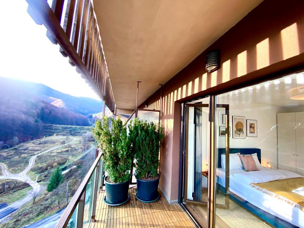 Cosy Hollow - Pet Friendly Brașov Exterior foto