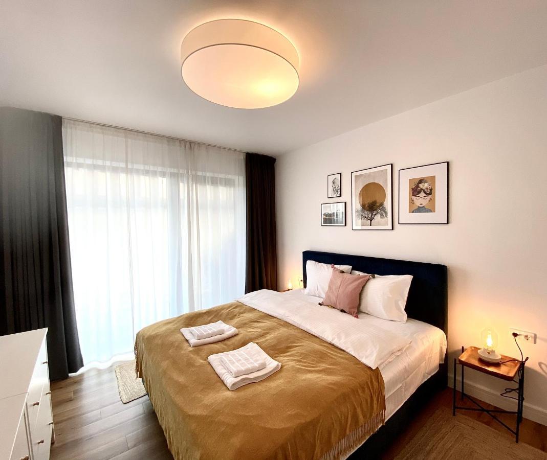 Cosy Hollow - Pet Friendly Brașov Exterior foto