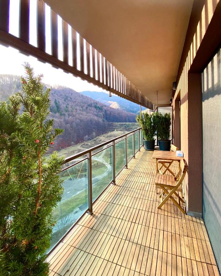 Cosy Hollow - Pet Friendly Brașov Exterior foto